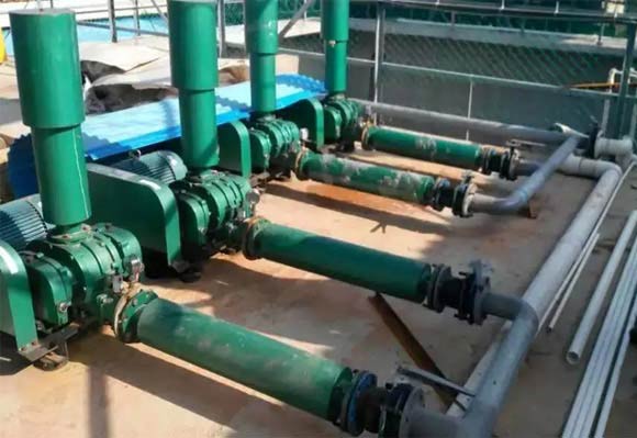  Case of three blade roots blower for sewage treatment